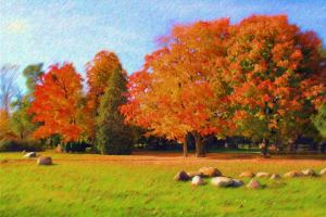 Autumn trees 11