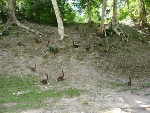 ???????????????????????????????