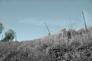 Graffiti artists escape route