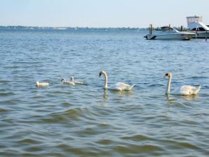 ???????????????????????????????